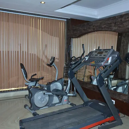 Hotel Vishal Residency Mahipalpur Near Igi Delhi Airport-2